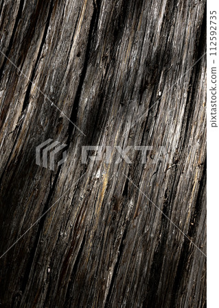Cedar tree bark Cedar tree bark 112592735