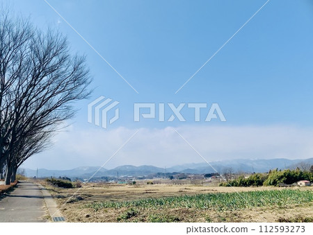 春天的藍天和廣闊的田野 112593273