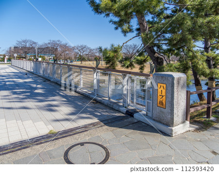 豎琴橋,橫跨綾瀨川的人行橋(埼玉縣草加市) 豎琴橋,橫跨綾瀨川的人行橋(埼玉縣草加市) 112593420