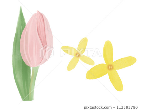 spring flowers 112593780