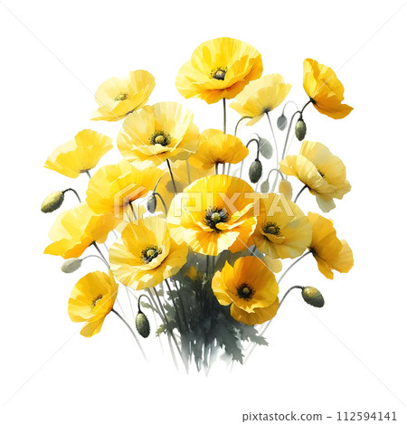 Yellow poppy 112594141
