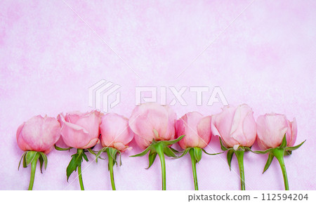 cute pink rose material cute pink rose material 112594204