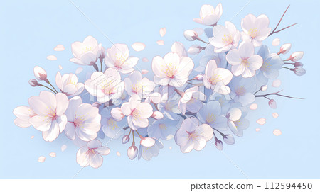 櫻桃背景 112594450