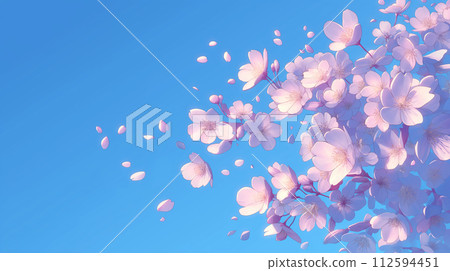 Cherry background Cherry background 112594451