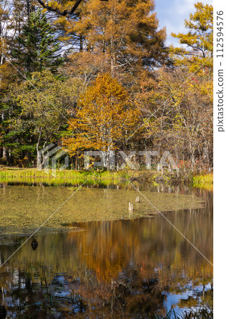 秋天的長野,戶隱綠池正是觀賞紅葉的最佳時間 秋天的長野,戶隱綠池正是觀賞紅葉的最佳時間 112594576