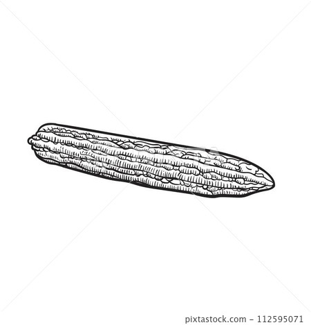 black outline bitter gourd 112595071