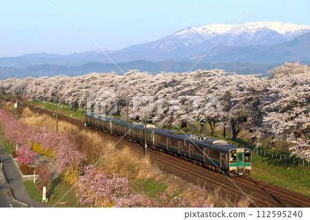 東北幹線701系 前往白石川堤千本櫻(仙台地區) 東北幹線701系 前往白石川堤千本櫻(仙台地區) 112595240