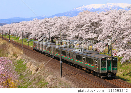 東北幹線701系 前往白石川堤千本櫻（仙台地區） 112595242