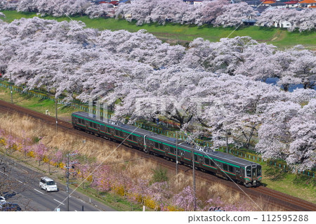 東北本線 E721 系 前往白石川堤千本櫻（仙台方面） 112595288