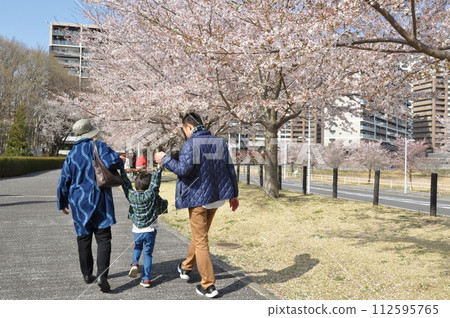 Family and cherry blossom 112595765
