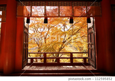Tanzan Shrine and Worship Hall in autumn (Sakurai City, Nara Prefecture) 112595852