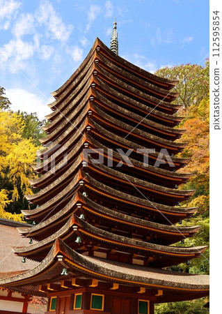Autumn Tanzan Shrine/13-storied pagoda (Sakurai City, Nara Prefecture) 112595854