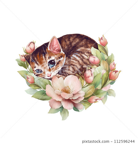 Sleepy cat. Cute floral illustration with watercolor kitten Sleepy cat. Cute floral illustration with watercolor kitten 112596244
