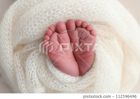 The tiny foot of a newborn baby. Soft feet of a new born in a wool white blanket. Close up of toes, heels and feet of a newborn. Macro photography. 112596496
