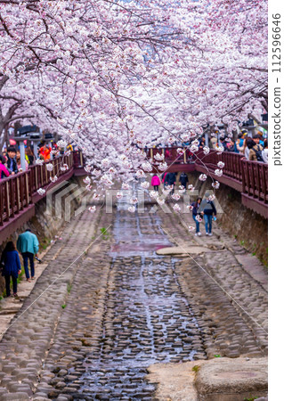Cherry blossom festival at Yeojwacheon Stream, Jinhae Gunhangje festival, Jinhae, South Korea, Cherry blossom with train in South Korea is the popular cherry blossom, jinhae South Korea. 112596646