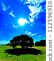 藍天和草坪 112596910