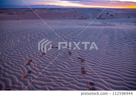 Sahara Desert 112596944