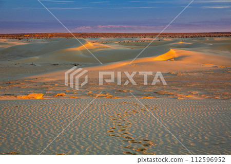 Sahara Desert Sahara Desert 112596952