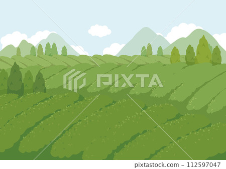 Tea plantation landscape illustration tea garden Tea plantation landscape illustration tea garden 112597047
