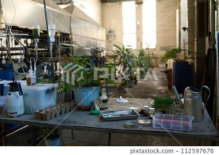 No people interior shot of handmade water filter, plants in pots and tools on table in post-apocalyptic shelter in abandoned factory building No people interior shot of handmade water filter, plants in pots and tools on table in post-apocalyptic shelter in abandoned factory building 112597676