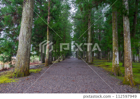 Scenery of Kumano Hongu Taisha Shrine in early spring 112597949