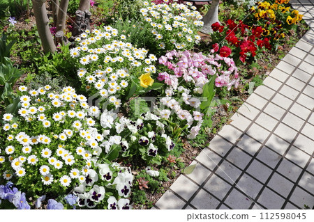 有春天的花朵的花園 112598045