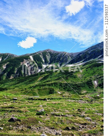 Tateyama with blue sky, scenery with alpine plants 112598337