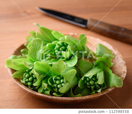 早春食材 Fukinoto 早春食材 Fukinoto 112598558