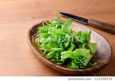 Early spring ingredients Fukinoto Early spring ingredients Fukinoto 112598559
