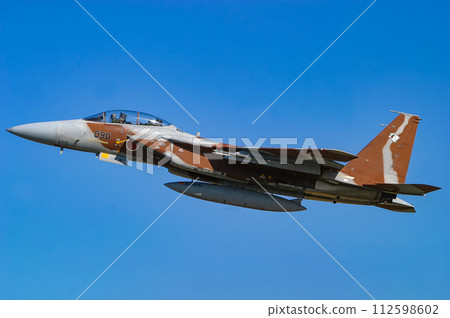 秘密航空自衛隊F-15DJ 112598602