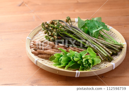 濾鍋中的春季食材(吹之、蕨、三葉、馬尾) 濾鍋中的春季食材(吹之、蕨、三葉、馬尾) 112598739