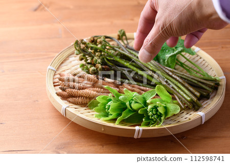濾鍋中的春季食材(吹之、蕨、三葉、馬尾) 濾鍋中的春季食材(吹之、蕨、三葉、馬尾) 112598741