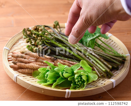 濾鍋中的春季食材(吹之、蕨、三葉、馬尾) 濾鍋中的春季食材(吹之、蕨、三葉、馬尾) 112598742