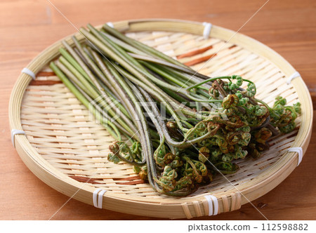 Warabi (warabi) in a colander Warabi (warabi) in a colander 112598882