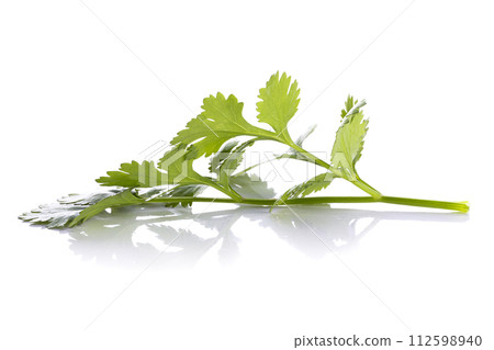 Coriander leaf isolated on a white background. 112598940