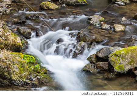 Shizugawa Ujigawa tributary Uji City, Kyoto Prefecture 112599311