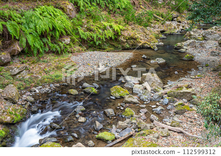 Shizugawa Ujigawa tributary Uji City, Kyoto Prefecture 112599312