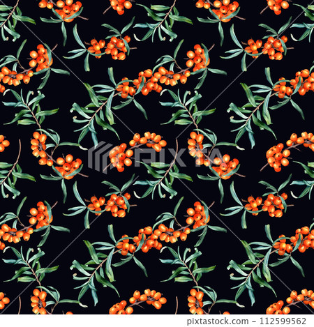 Watercolor seamless pattern with plant sea buckthorn branches. Hand drawn botanical illustration for wrapping wallpaper fabric textile 112599562