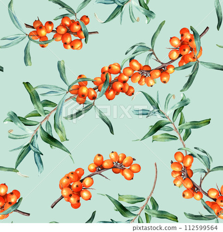 Watercolor botanical seamless pattern with plant sea buckthorn branches. Hand drawn illustration for wrapping wallpaper fabric textile Watercolor botanical seamless pattern with plant sea buckthorn branches. Hand drawn illustration for wrapping wallpaper fabric textile 112599564