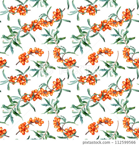 Watercolor botanical seamless pattern with plant sea buckthorn branches. Hand drawn illustration on isolated background for wrapping wallpaper fabric textile 112599566