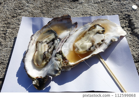 fresh oysters 112599868