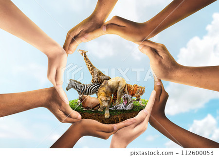Wildlife Conservation Day. wildlife protection, multiracial human come to build hands in shape of circle to protect the environment. promote conservation wildlife. sky background Sun light. Wildlife Conservation Day. wildlife protection, multiracial human come to build hands in shape of circle to protect the environment. promote conservation wildlife. sky background Sun light. 112600053