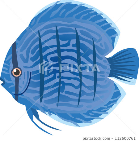 藍色熱帶魚七彩的圖像插圖 112600761
