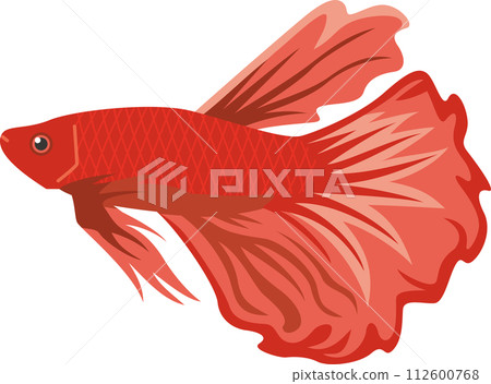 Image illustration of red tropical fish betta Image illustration of red tropical fish betta 112600768