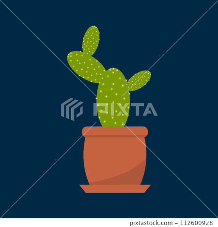 Houseplant cactus in a pot, natural decor for home and interior Houseplant cactus in a pot, natural decor for home and interior 112600928