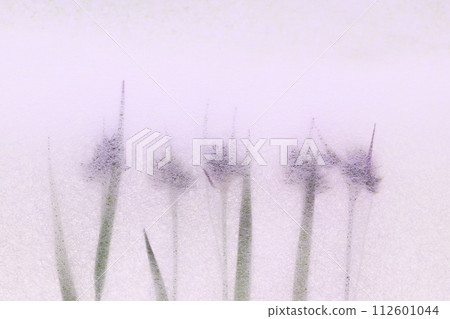 Collaboration of Japanese paper, wildflowers, and sparrow sparrow (background material) Collaboration of Japanese paper, wildflowers, and sparrow sparrow (background material) 112601044