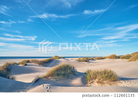 Wide sand beach in northern Denmark 112601135