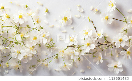 background with white flowers and petals 112601483