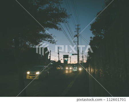 黃昏快照 112601701