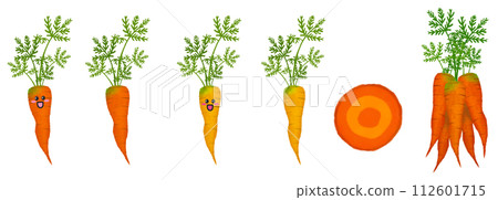Vegetable Illustration - Character - Carrot 112601715